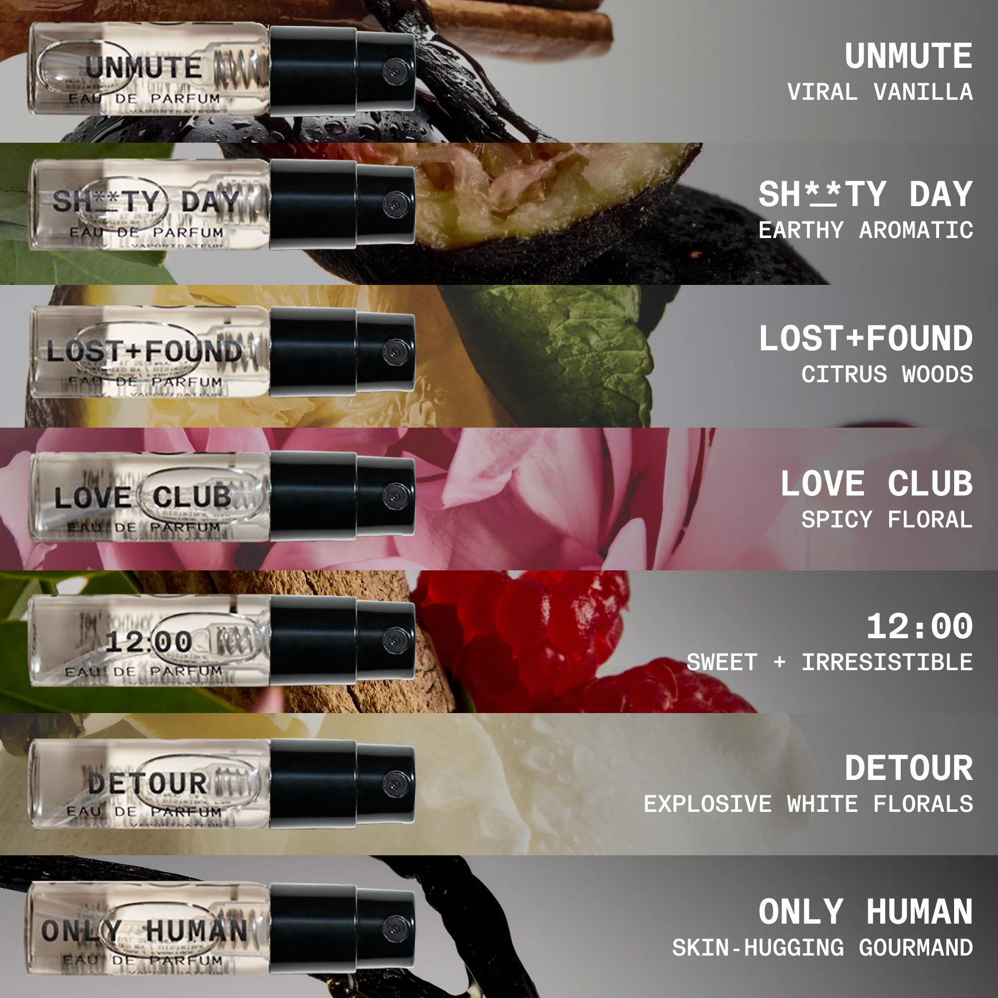 THE COMPLETE COLLECTION - Image 4